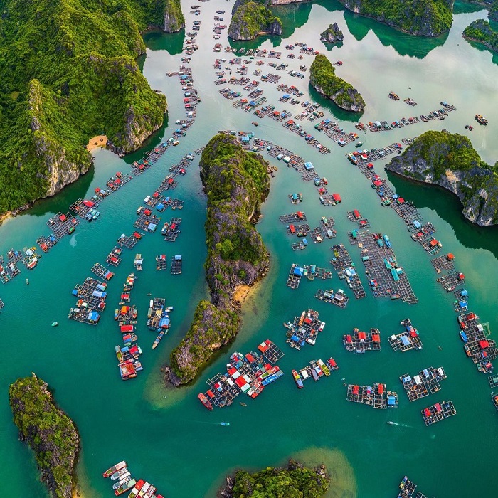 Cai Beo Fishing Village from Above