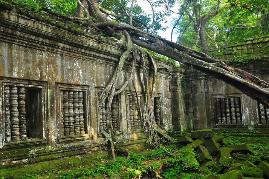 Beng Mealea is a temple deep in the forest and is completely isolated