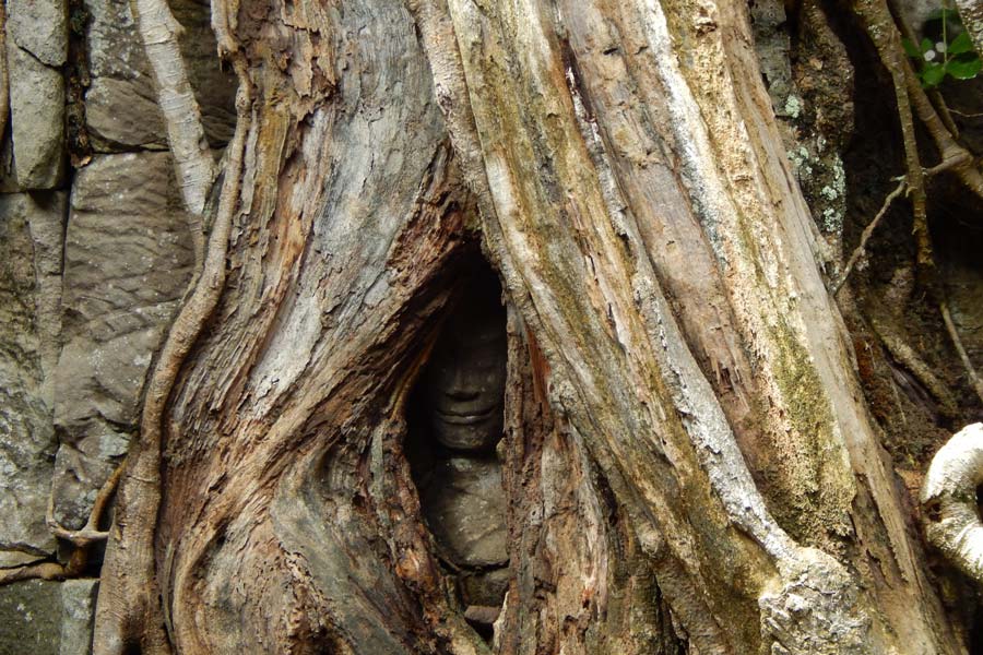 In the Ta Prohm temple area, you will hear the echo when you tap your chest while standing here