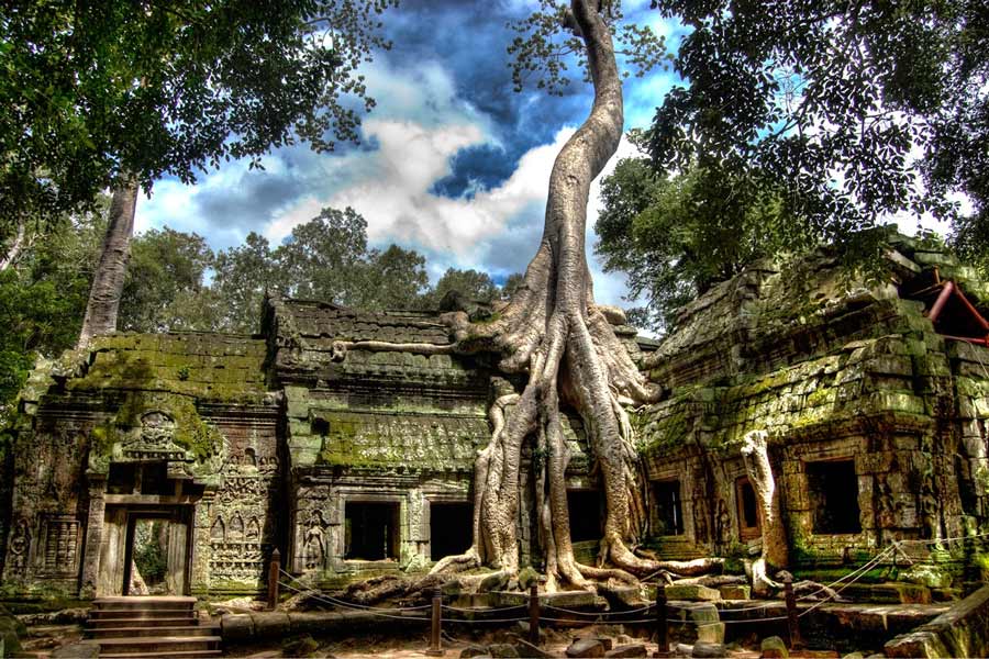 The roots of ancient trees have a strange appearance covering almost the entire temple, creating a unique appeal