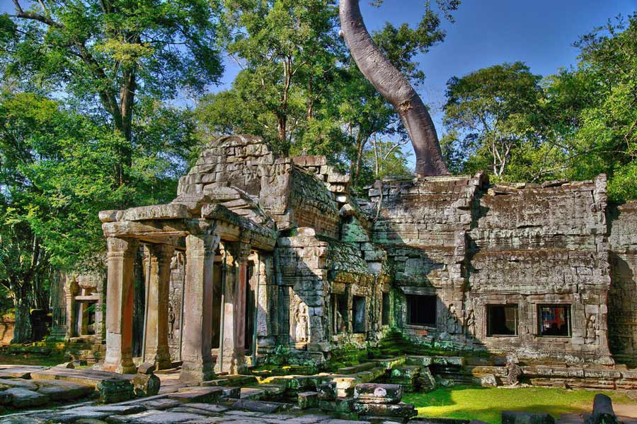 Ta Prohm is known for its labyrinthine structure and the intricate interplay between the temple's ruins and the surrounding jungle, particularly its iconic spung trees and massive roots