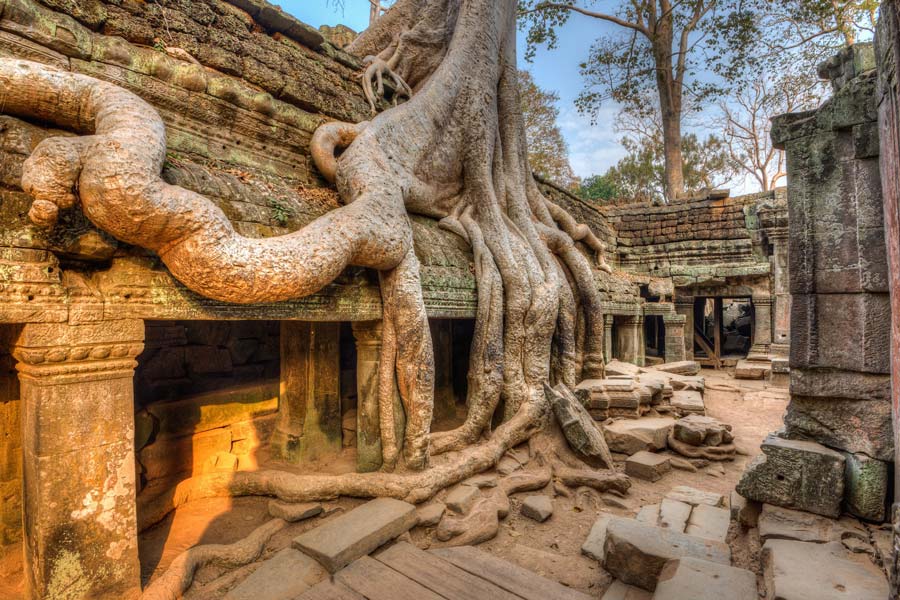 In the movie, Ta Prohm's iconic imagery, characterized by the massive tree roots engulfing the temple ruins, adds a dramatic and atmospheric backdrop to the storyline