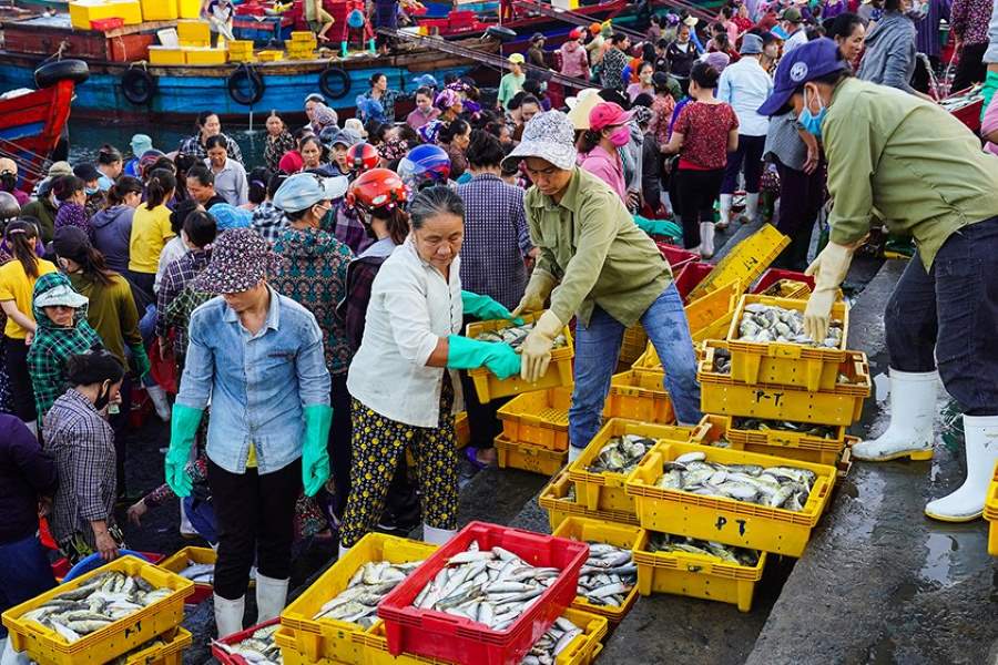 The fish market in Nghi Thuy fishing village