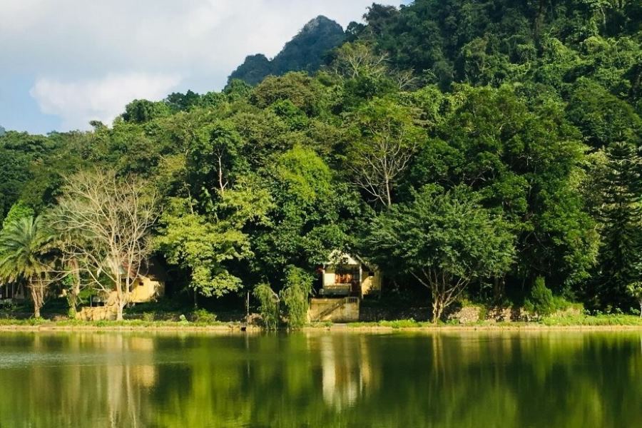 Cuc Phuong National Park boasts an incredibly diverse and abundant plant ecosystem