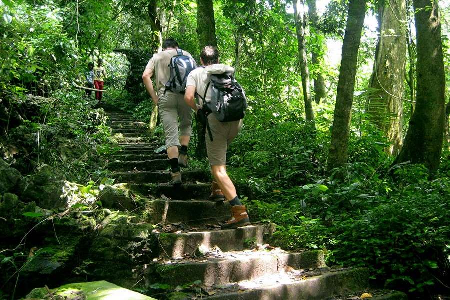 Cuc Phuong National Park and Trekking