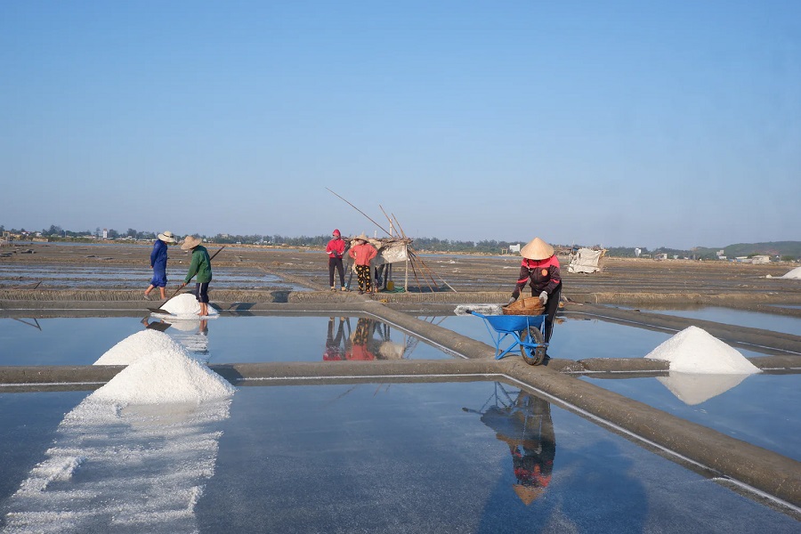 Farmers harvesting salt at Sa Huynh Salt Field 