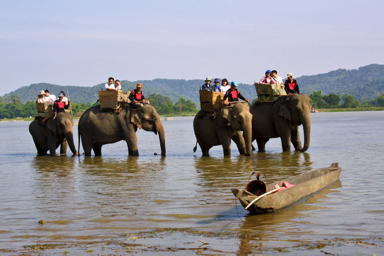 Ride elephants to visit Buon Don