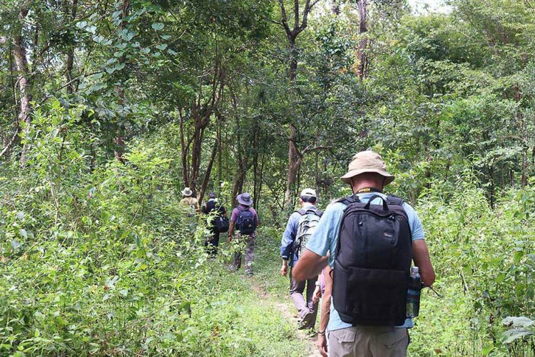 The activity of trekking has captured the interest of many travelers