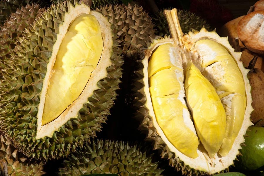 Bring Durian to your Hotel room