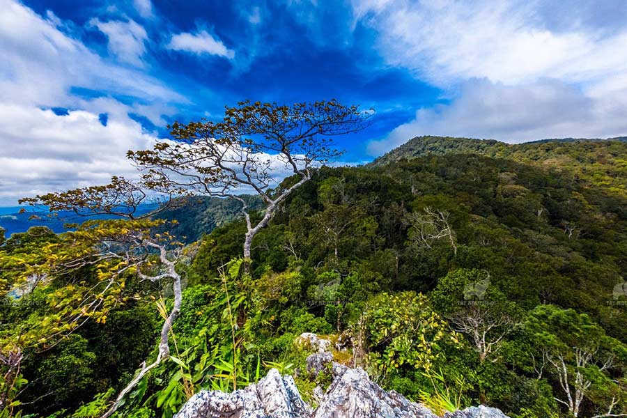 K'Bang - Kon Ka Kinh National Park