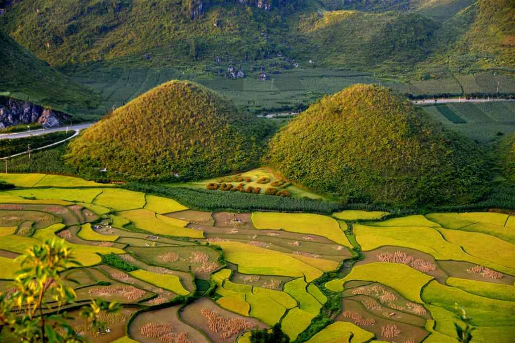 Quan Ba twin mountains in the ripe rice season