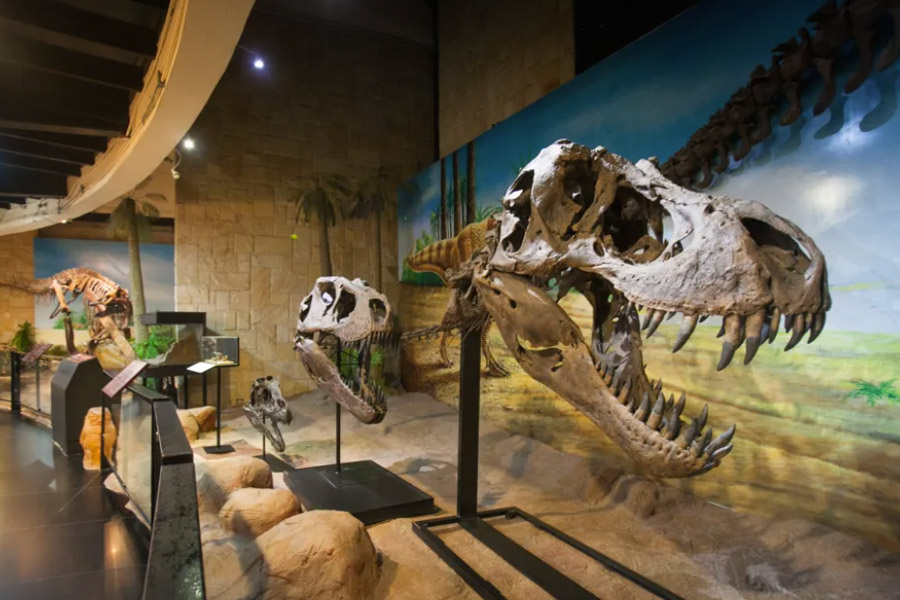 Sirindhorn dinosaur museum