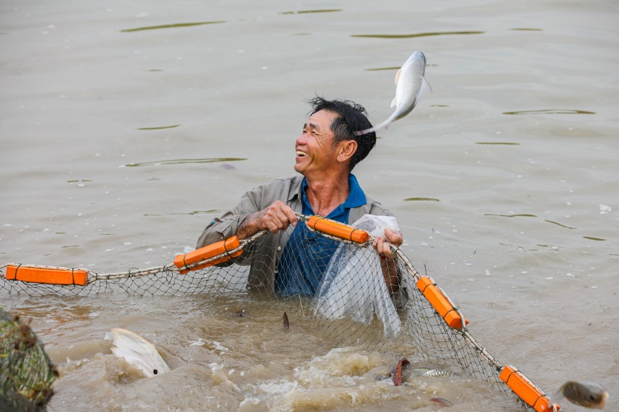 The people here mainly live on fish farming and rice cultivation