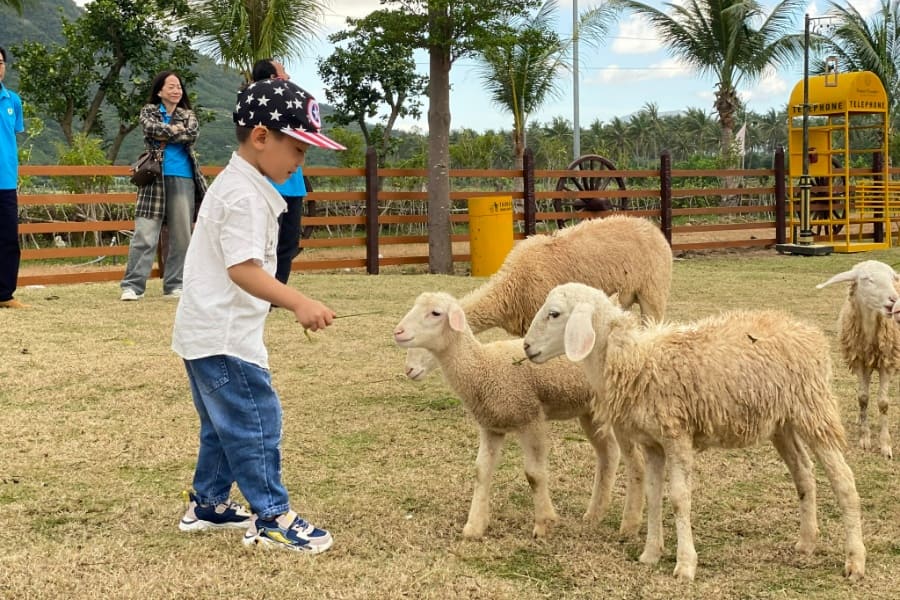 The best attraction for a family with kids