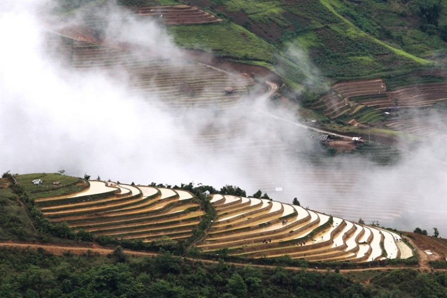 Mu Cang Chai Terraced Fields in the watering season – as seen from Khau Pha Pass