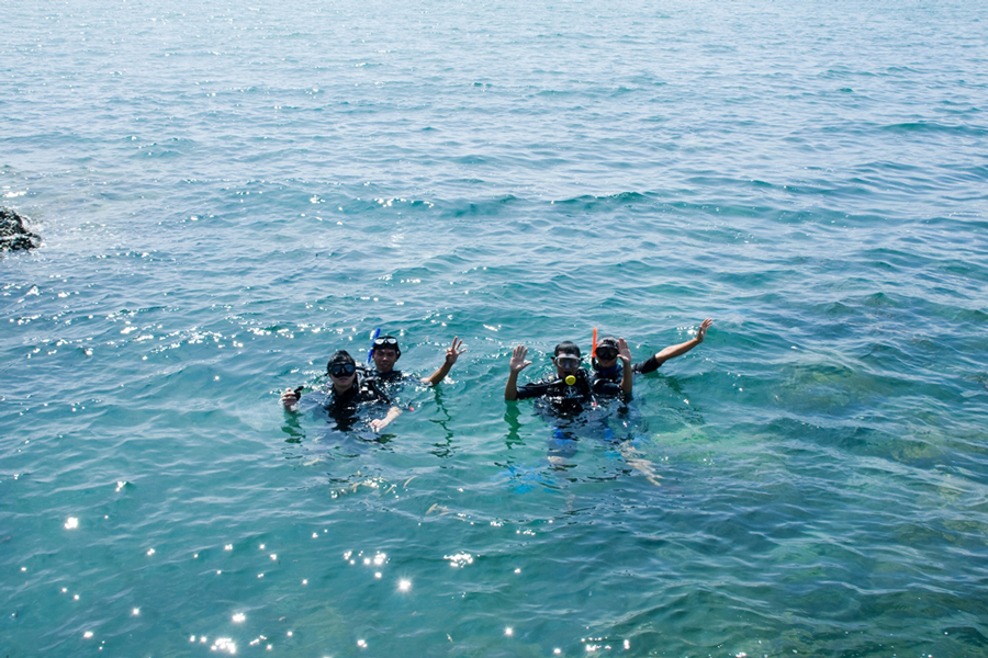 Fishing and diving to catch sea urchins on Pirate Island can be a thrilling and rewarding experience