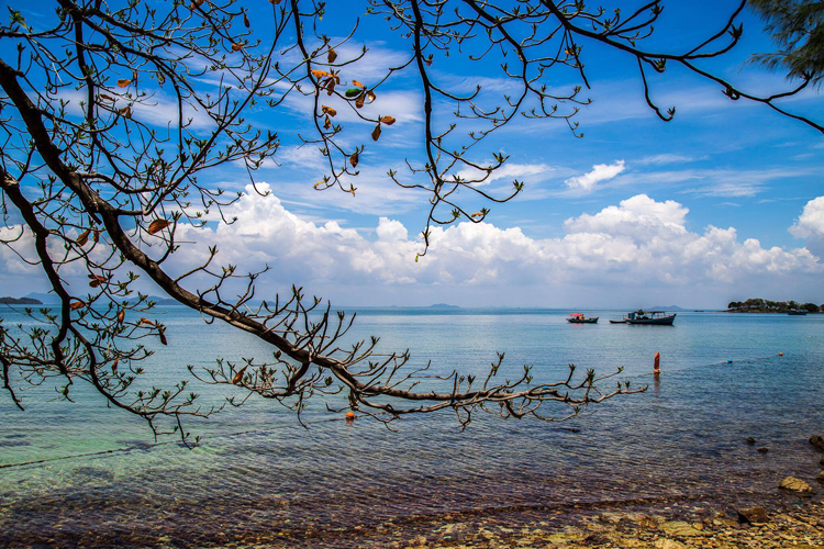 Pirate Island attracts tourists with rumors of rare treasures and beautiful pristine beaches