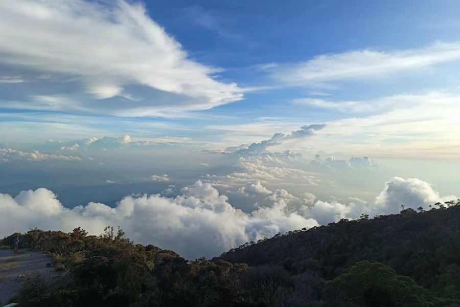 Kinabalu Park air
