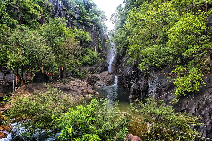 The lush rainforest setting adds to the overall natural beauty of the waterfall