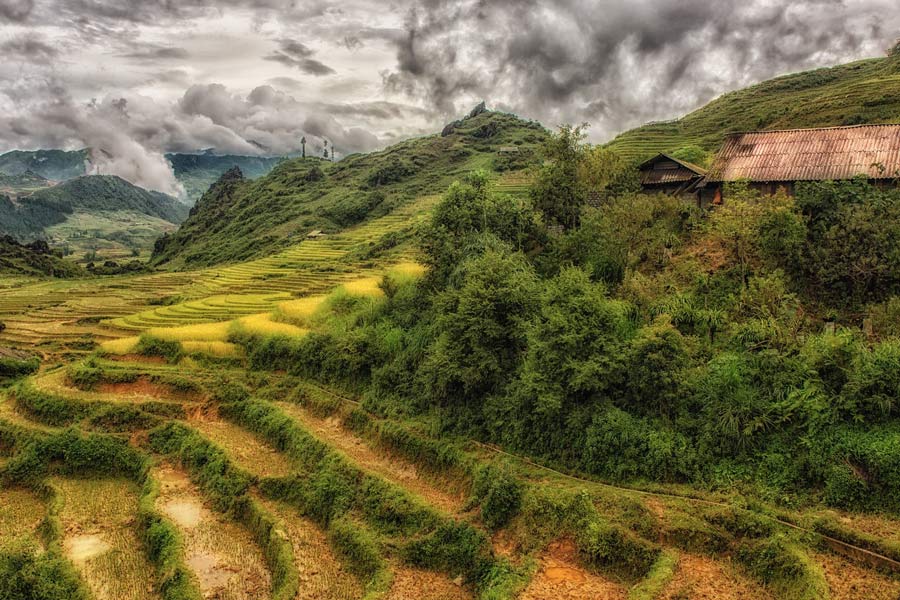 How to get to Lao Cai