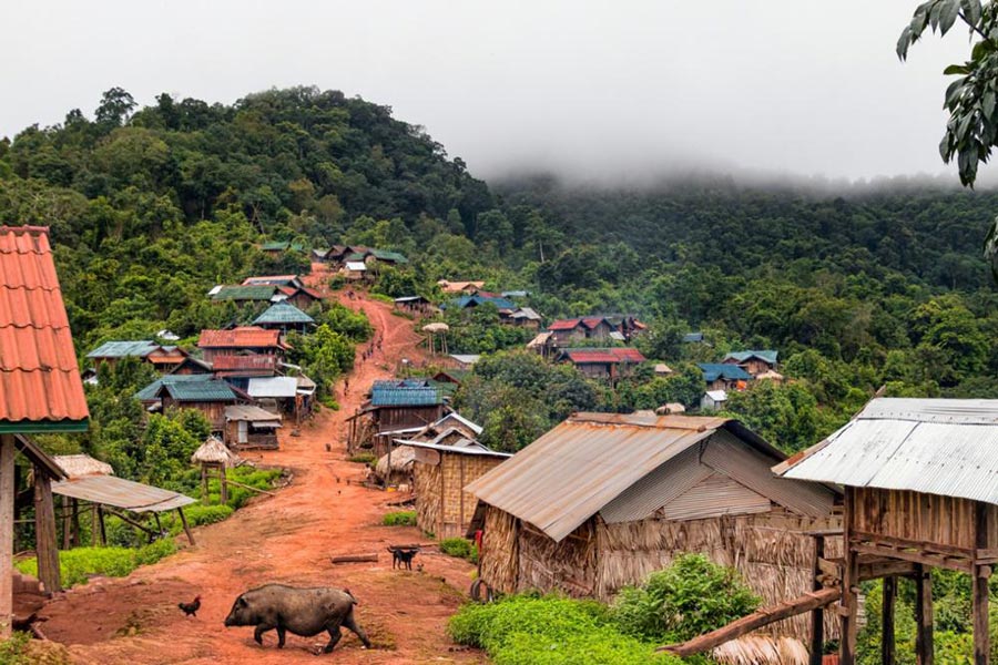 Nam Ha National Protected Area in Laos is not only a haven for biodiversity but also a cultural treasure, hosting several ethnic minority villages that contribute to the area's rich tapestry