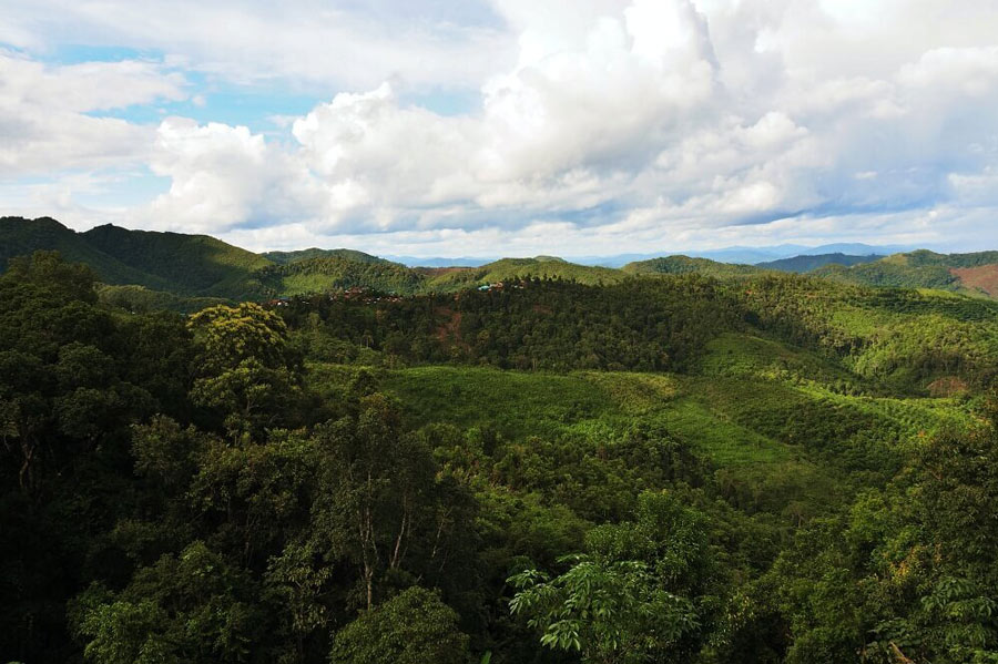 Nam Ha National Protected Area in Laos is renowned for its captivating scenic landscapes, offering a visual feast of natural beauty