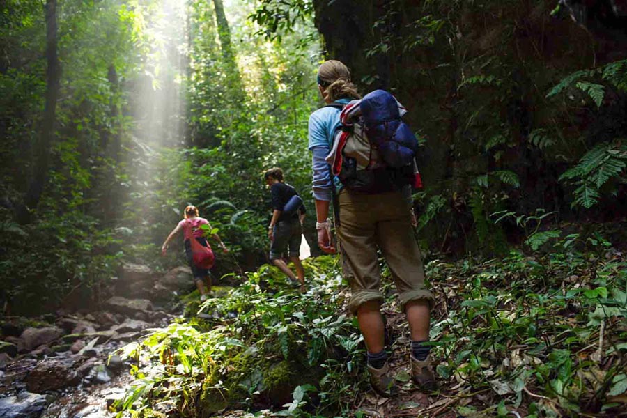 Nam Ha National Protected Area boasts a network of captivating trekking and hiking trails that weave through its diverse landscapes, offering outdoor enthusiasts an immersive experience in the heart of nature