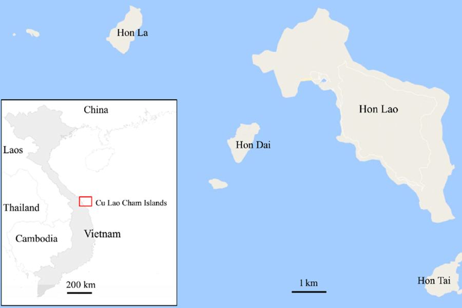 Location of Cu Lao Cham islands Vietnam
