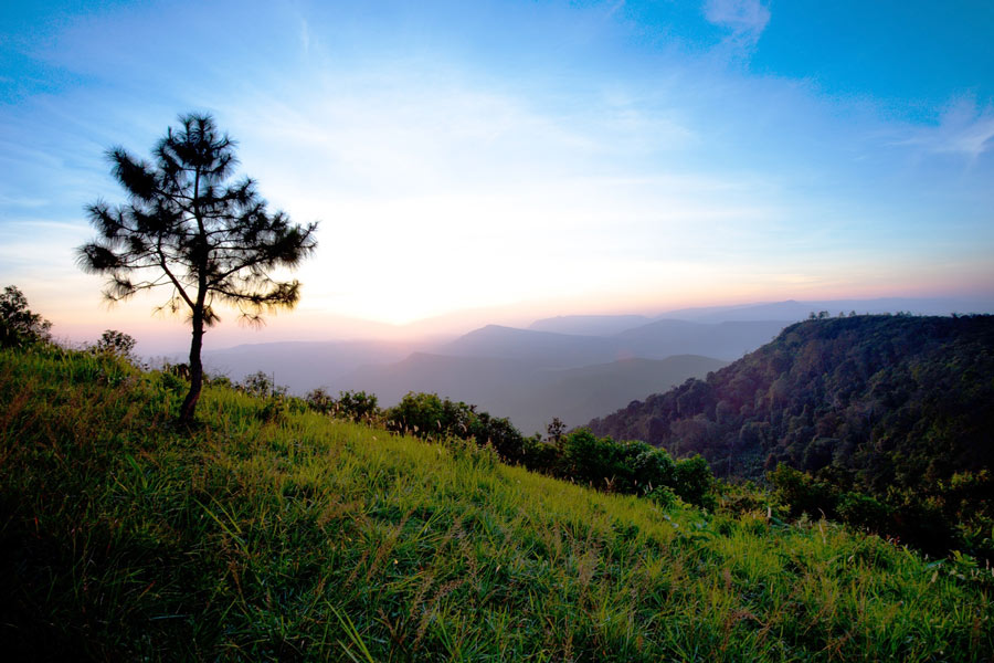 Phu Ruea: An Illustrated Tour Through Cloudy Mountains