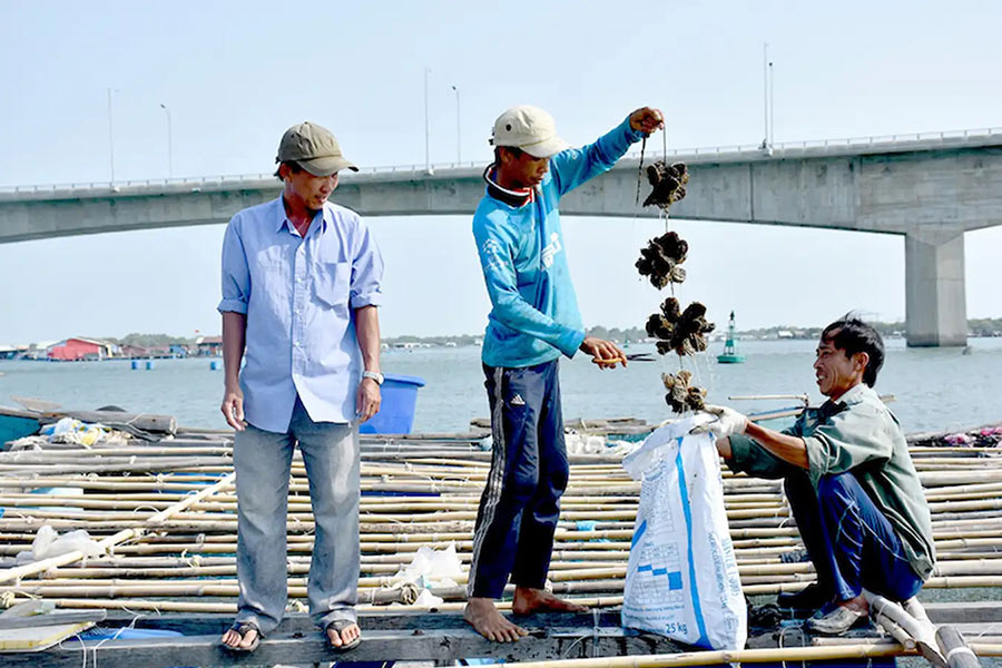 Clam harvesting in Long Son Raft Village