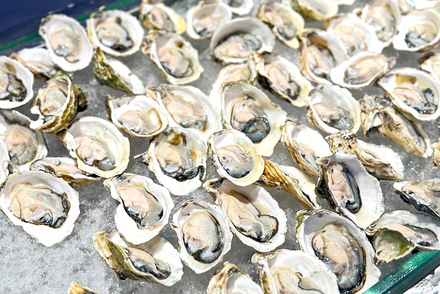 Oysters dishes