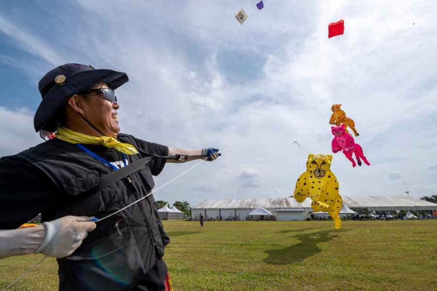 Participants are performing kites at the festival 