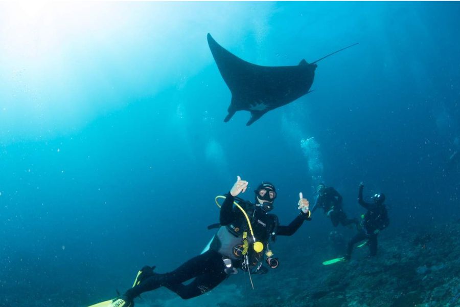 Snorkeling with friends under deep sea in Lankayan Island 