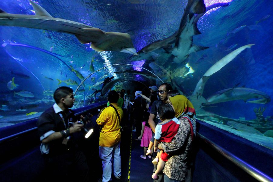 Tourist discover Aquaria KLCC 