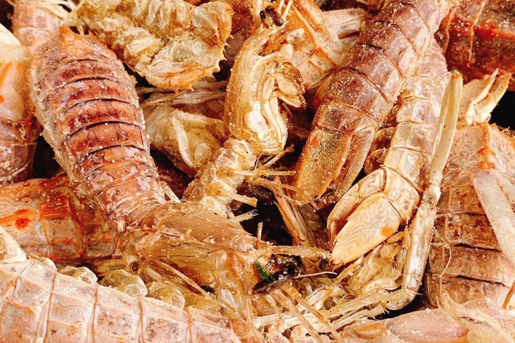 Mantis shrimp is roasted with salt