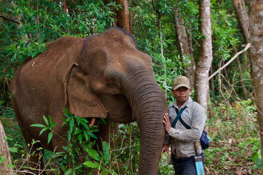 The Elephant Valley Project is a great place to visit