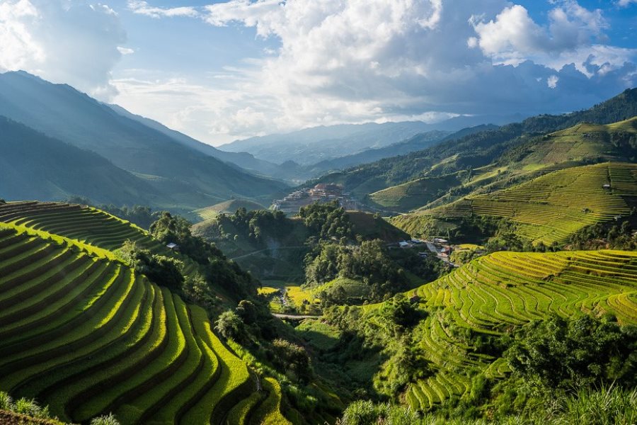 A corner of the Mu Cang Chai Terraced Fields on a sunny day