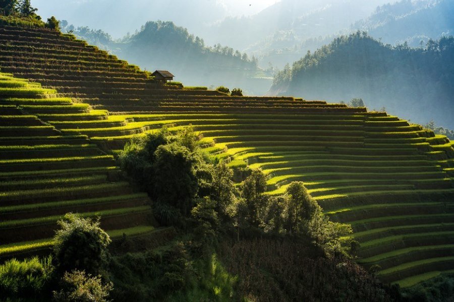 Mu Cang Chai Terraced Fields – the majestic stairways