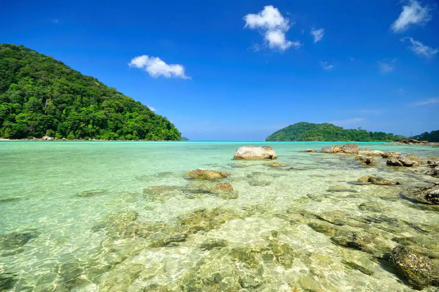 December to March is the ideal period to visit Koh Surin National Park