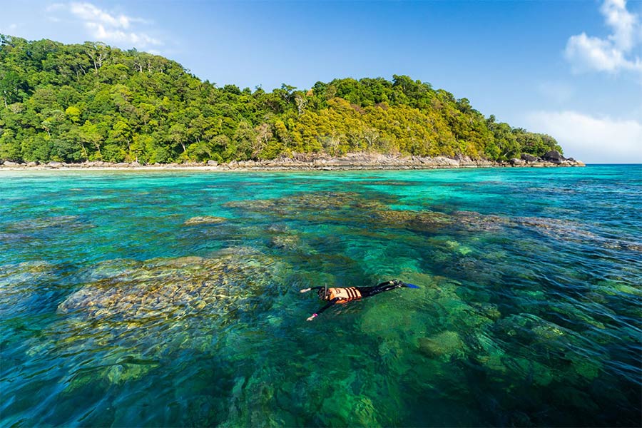 Snorkeling is one of the must-do activities in Mu Koh Surin National Park 