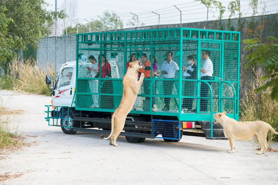 Activities at My Quynh Safari