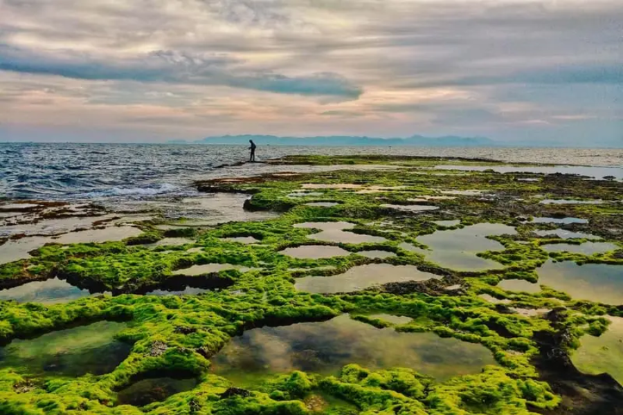 Hon Do is renowned for its extraordinary above-ground fossilized coral formations.