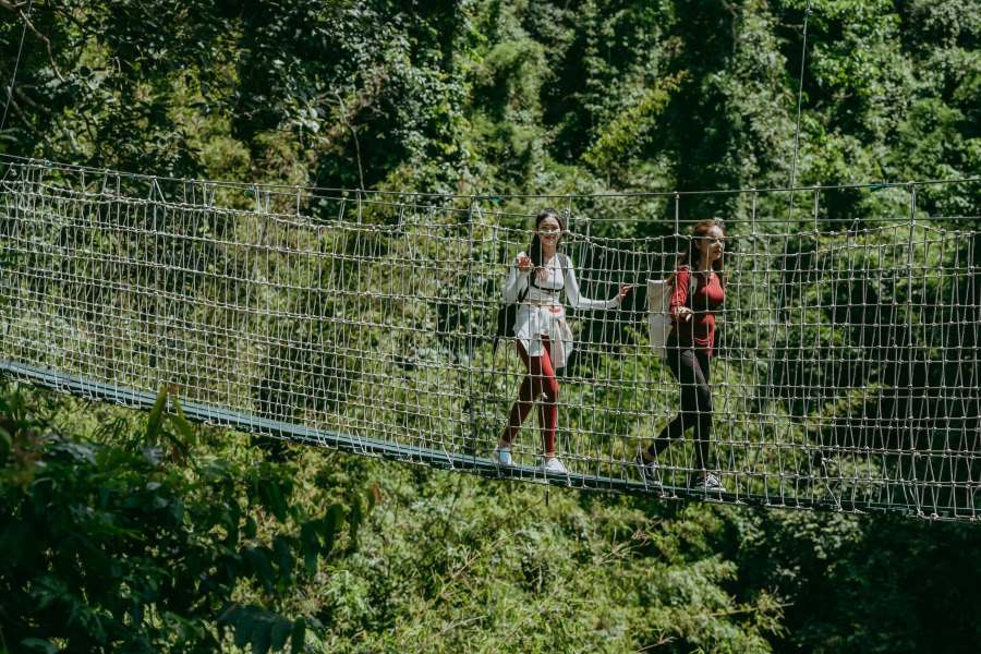 Hike over lush vegetation and streams on suspended mesh bridges 