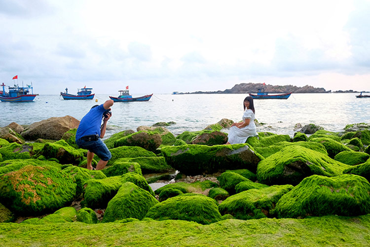 Nhon Hai green mossy rock beach