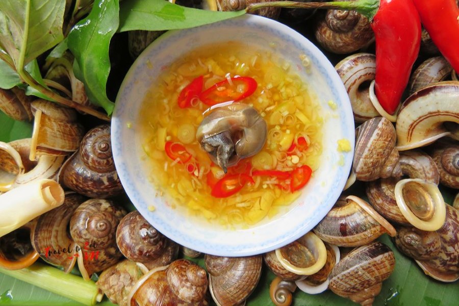 Mountain Snail - A must-try dish in Hoa Lu Ancient Capital