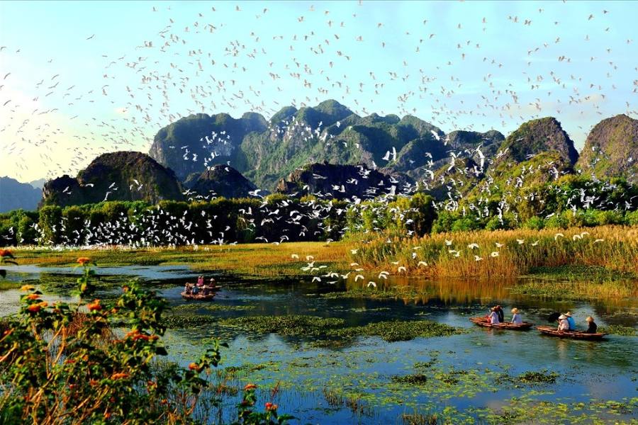 The unforgettable natural scenery at Thung Nham Bird Garden