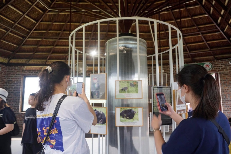 As you leave the skywalk, you’ll enter a gallery that brings the bears stories to life through striking images
