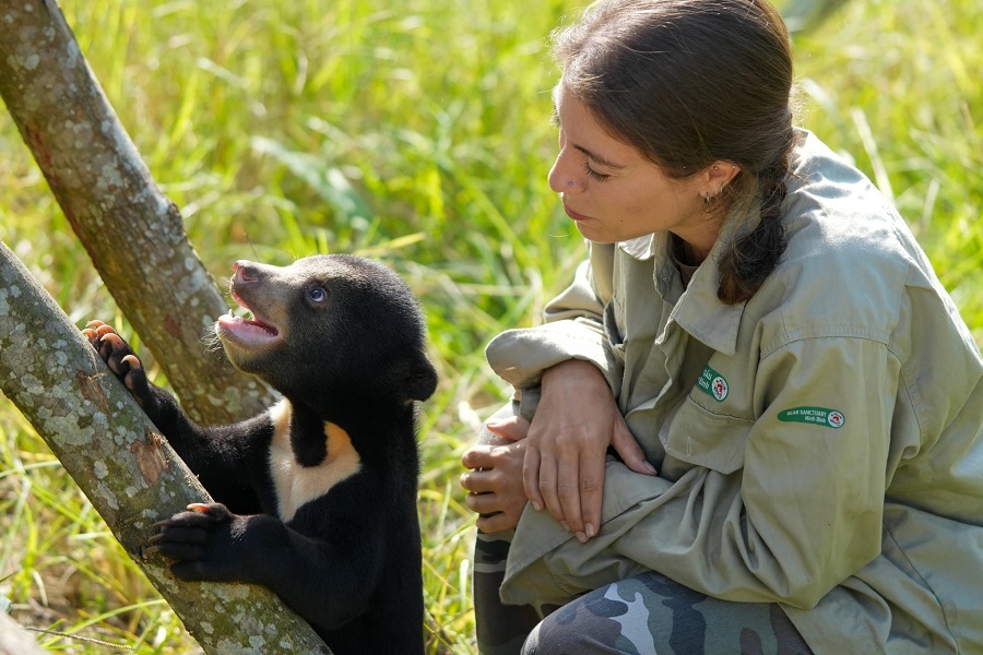 Bear Sanctuary Ninh Binh serves as a safe haven for rescued bears