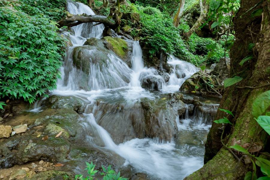 Phoenix Cave - Chicken Mine Stream