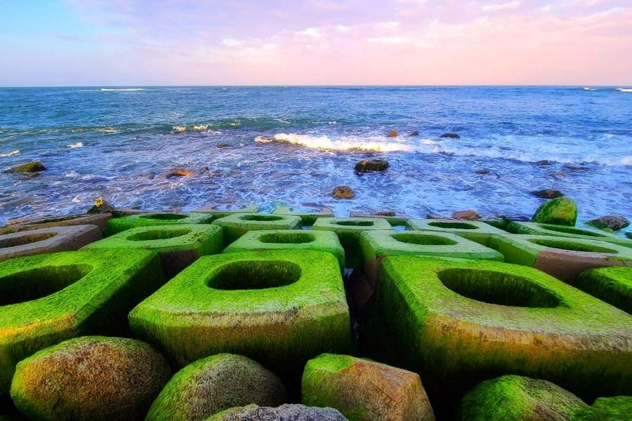 Big stones with lush green seaweed in Xom Ro, Phu Yen